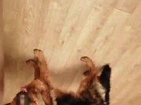 WhatsApp Video 2019-12-31 at 19.11.01