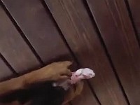 WhatsApp Video 2019-12-31 at 19.15.39