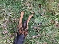 WhatsApp Video 2019-12-31 at 19.18.51