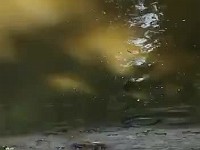 WhatsApp Video 2021-06-25 at 22.19.05