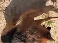 WhatsApp Video 2021-07-18 at 16.01.45