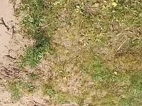 WhatsApp Video 2021-07-18 at 16.02.55