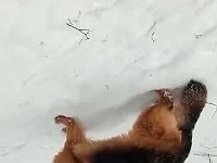 WhatsApp Video 2021-12-04 at 20.08.58 (1)
