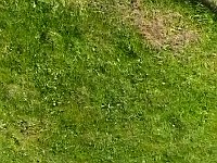 WhatsApp Video 2020-05-12 at 18.31.31 (1)