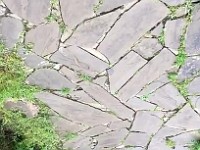 WhatsApp Video 2020-06-02 at 11.16.50