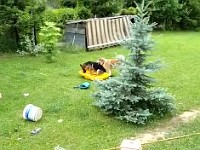 WhatsApp Video 2020-07-07 at 12.29.46