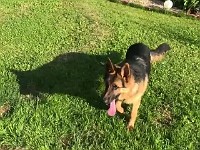WhatsApp Video 2020-08-05 at 17.46.54