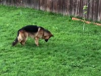 WhatsApp Video 2021-05-16 at 21.50.36