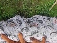 WhatsApp Video 2020-06-10 at 15.52.22