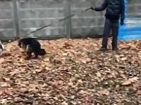 WhatsApp Video 2018-11-19 at 09.17.07  �������� ������� (�.Finn vom Bergmannsland-  �.��� �.���������.jpeg