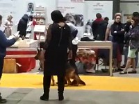 WhatsApp Video 2019-11-29 at 23.38.43