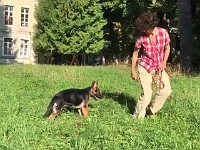 �������� ���� (3)