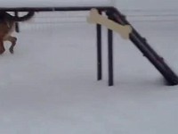 ������ � �������