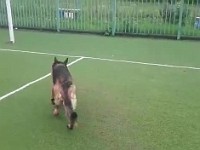 WhatsApp Video 2021-05-28 at 08.53.40