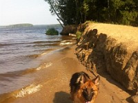 IMG 6115  �������� ������ (Zando vom Wutachtal x  ��� � ��������� )