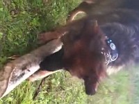 WhatsApp Video 2018-12-10 at 11.10.34